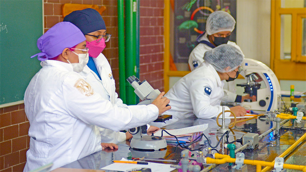 Debemos impulsar la ciencia en las alumnas desde temprana edad